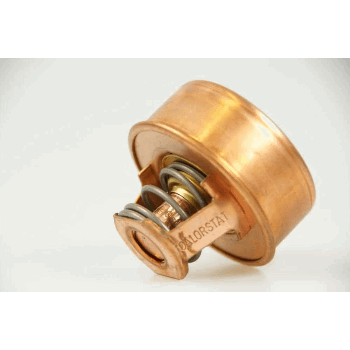 THERMOSTAAT 79GR (IN SLANG) THERMOSTAAT 79GR (IN SLANG)