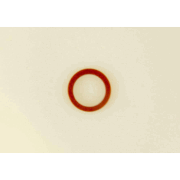 FIBERRING OLIELEIDING FIBERRING OLIELEIDING
