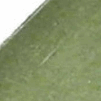 SPIE WP/DYNAMO/KOPP/STARTMOTOR SPIE WP/DYNAMO/KOPP/STARTMOTOR