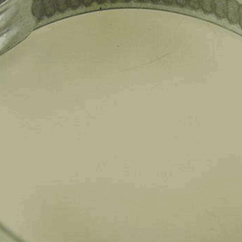 SLANGKLEM WATERPOMPSLANG SLANGKLEM WATERPOMPSLANG