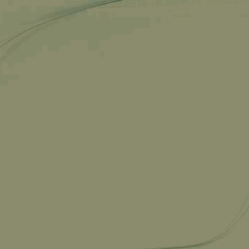 ZIJRUIT GLAS R ZIJRUIT GLAS R